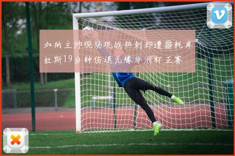 加纳主帅现场观战热刺却遭噩耗库杜斯19分钟伤退无缘非洲杯正赛