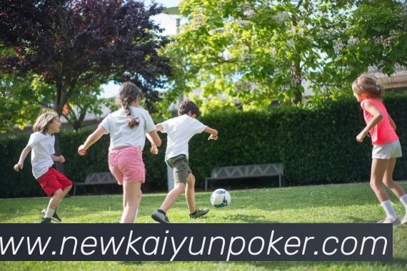 多媒体互动体验