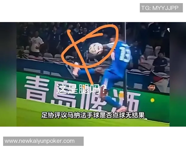 前裁判点评帕夫洛维奇手球争议认为判罚过于严格引发热议 前裁判点评帕夫洛维奇手球争议认为判罚过于严格引发热议